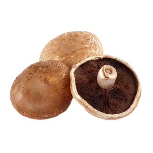 Cogumelo Portobello (1 band com 500gr)