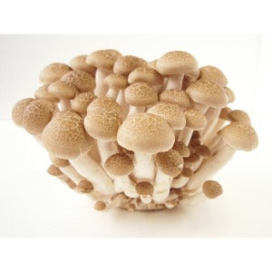 Cogumelo Shimeji (1 band com 200gr aprox)