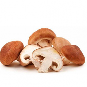 Cogumelo Shitake (1 band com 200gr aprox)